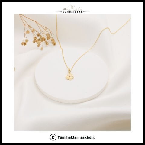 925 Ayar Gümüş Karanfil Çiçeği Ocak Ayı Minimal Doğum Taşı Kolyesi