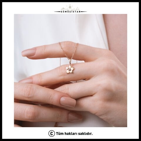 925 Ayar Gümüş Menekşe Çiçeği Şubat Ayı Minimal Doğum Taşı Kolyesi
