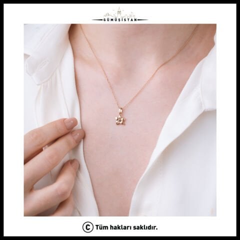 925 Ayar Gümüş Menekşe Çiçeği Şubat Ayı Minimal Doğum Taşı Kolyesi