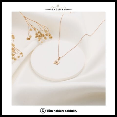 925 Ayar Gümüş Menekşe Çiçeği Şubat Ayı Minimal Doğum Taşı Kolyesi