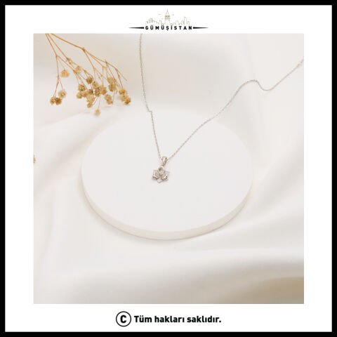 925 Ayar Gümüş Gül Çiçeği Haziran Ayı Minimal Doğum Taşı Kolyesi