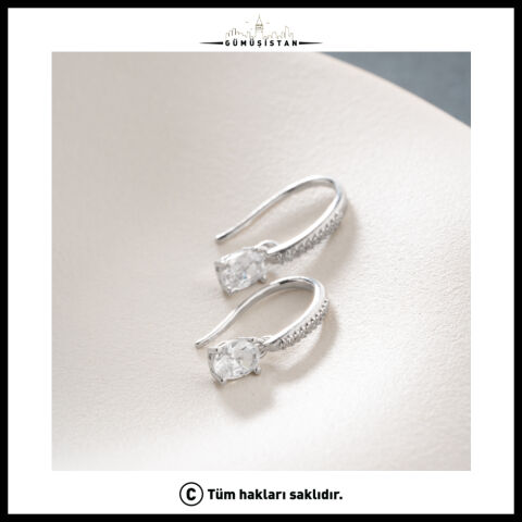 Oval Zirkon Taşlı 925 Ayar Gümüş Sallantılı Küpe