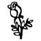 Doğum Çiçeği