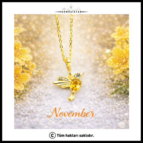 14 Ayar Altın Kaplama Doğum Taşlı Arı Kuşu Kolye