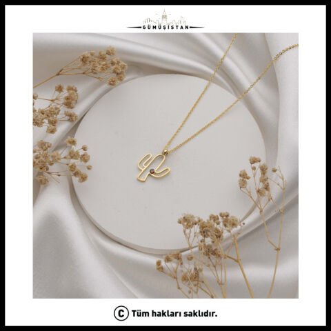 Kişiye Özel Doğum Taşlı Kaktüs Kolye - Bujiteri