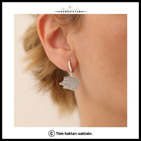 925 Ayar Gümüş Minimal Kirpi Küpe