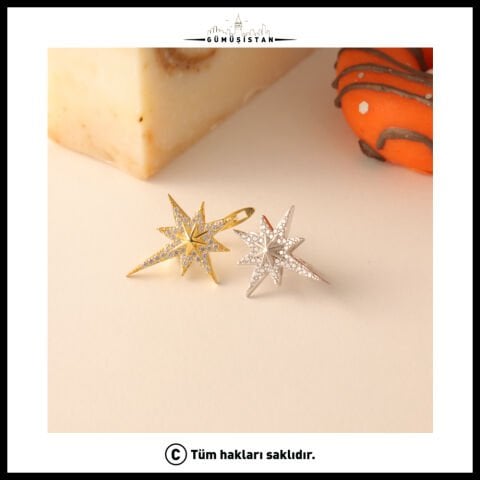 925 Ayar Gümüş Kutup Yıldızı Küpe
