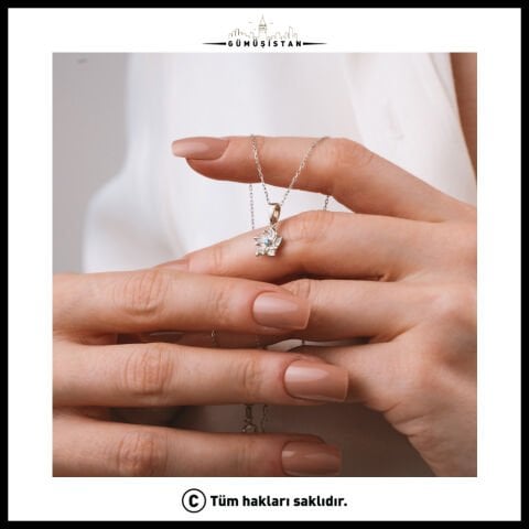 925 Ayar Gümüş Nergis Çiçeği Aralık Ayı Minimal Doğum Taşı Kolyesi