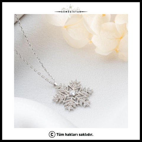 925 Ayar Gümüş Tektaşlı Kartanesi Kolye